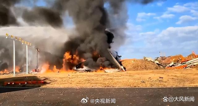 加强机场设计和应急响应 保障空中安全 航班起降驱鸟举措至关重要