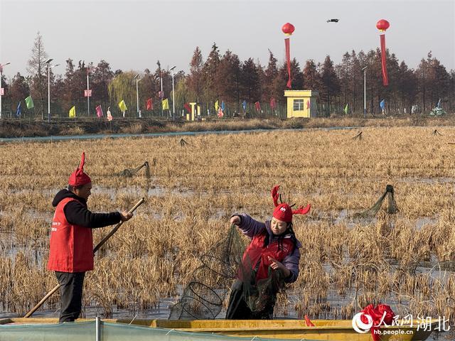鲜美可口 湖北潜江冬虾强势上市 打破季节性壁垒