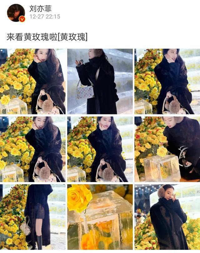 母女二人宛若姐妹花 温馨之情溢于言表 与冰霜融化的黄玫瑰媲美！刘亦菲与母亲合照