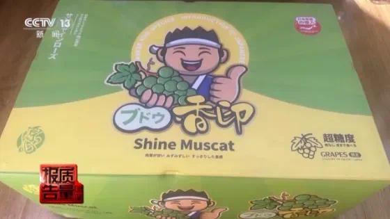 小心陷阱！108元“新西兰苹果”竟是“冒牌嘎啦果”