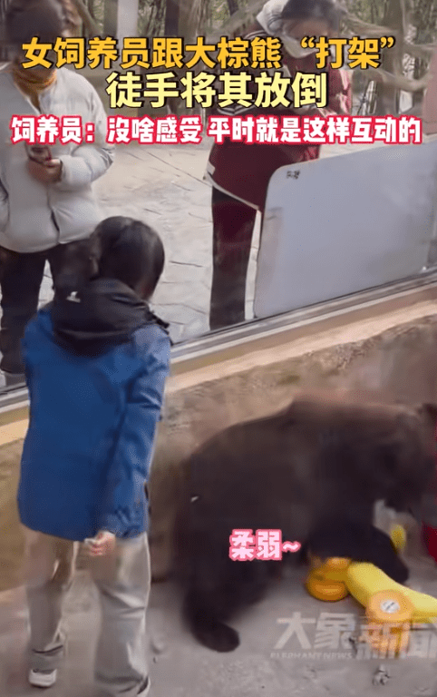 武汉女饲养员与棕熊勇斗，英勇事迹获网友赞誉