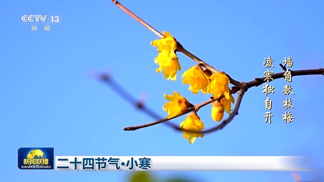 二十四节气·小寒：虽寒犹美的冬日画卷
