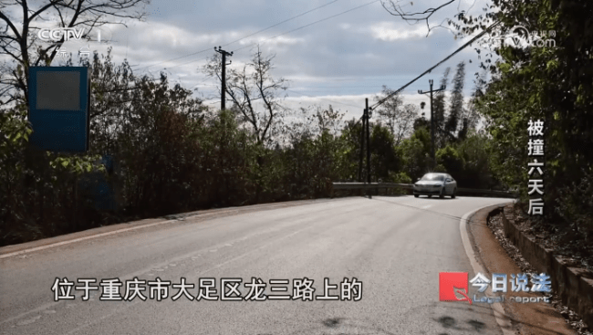 男子被车撞击未及时就诊，6日后离世，法院判例揭示车辆事故责任分担原则
